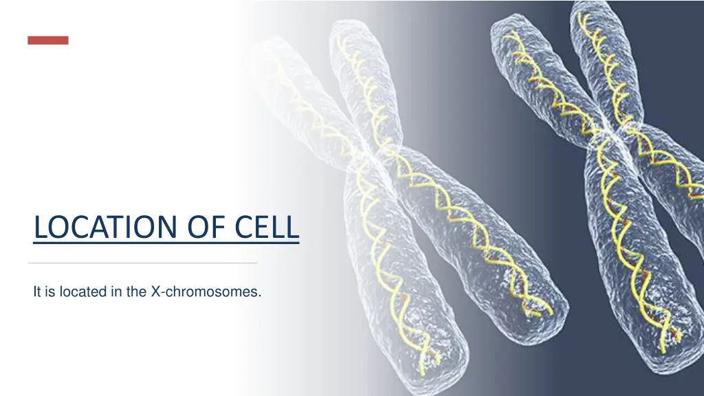 location of cell