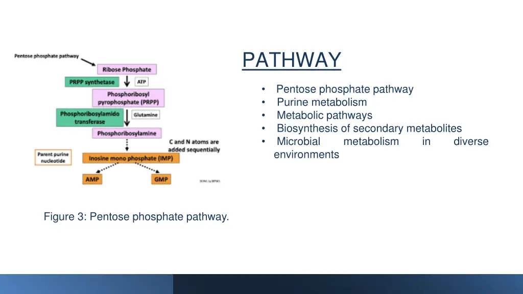 pathway