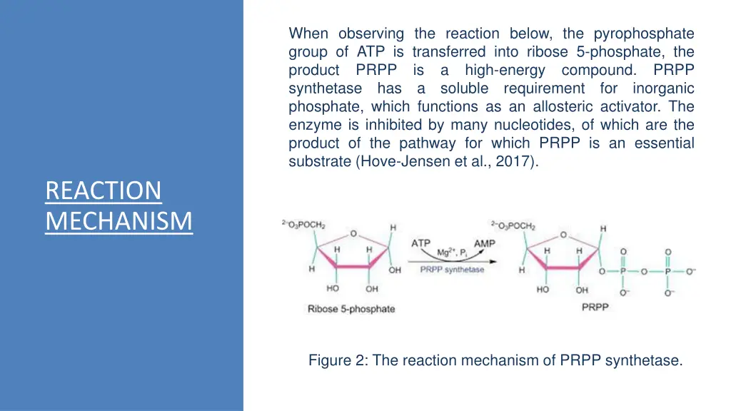 when observing the reaction below