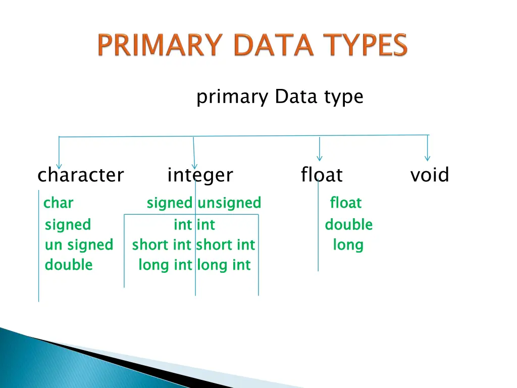 primary data type