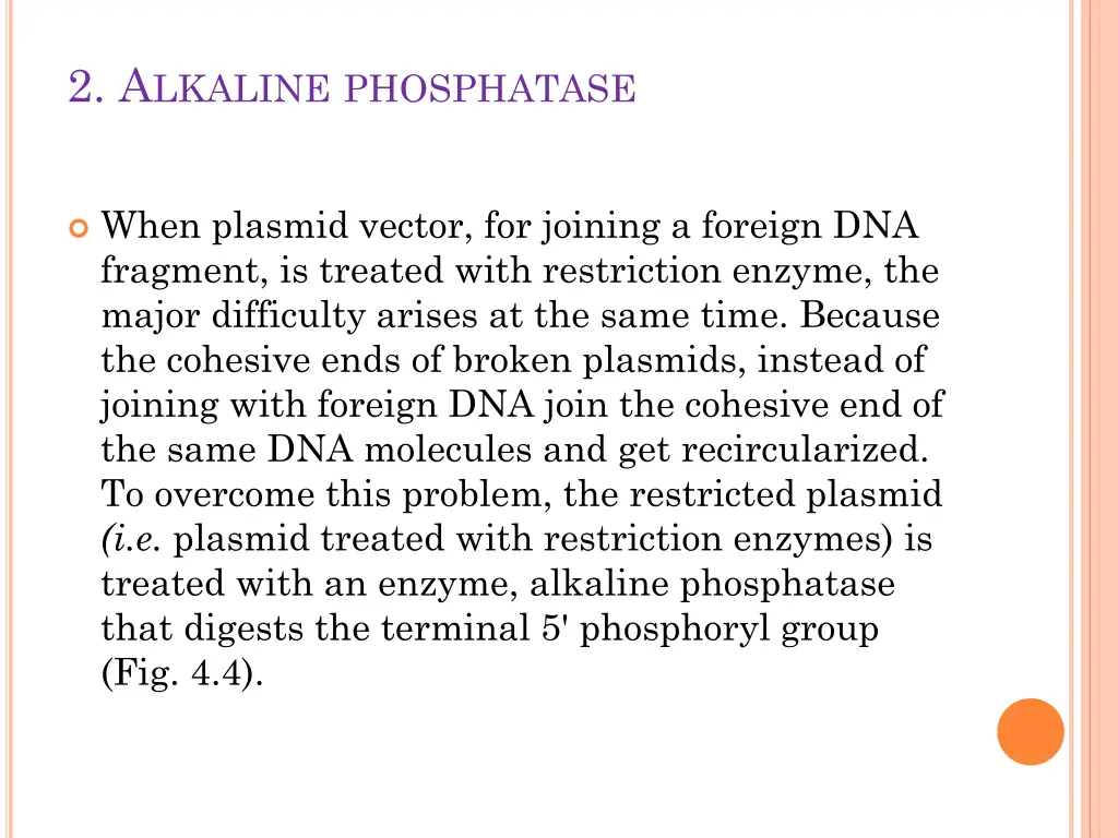 2 a lkaline phosphatase