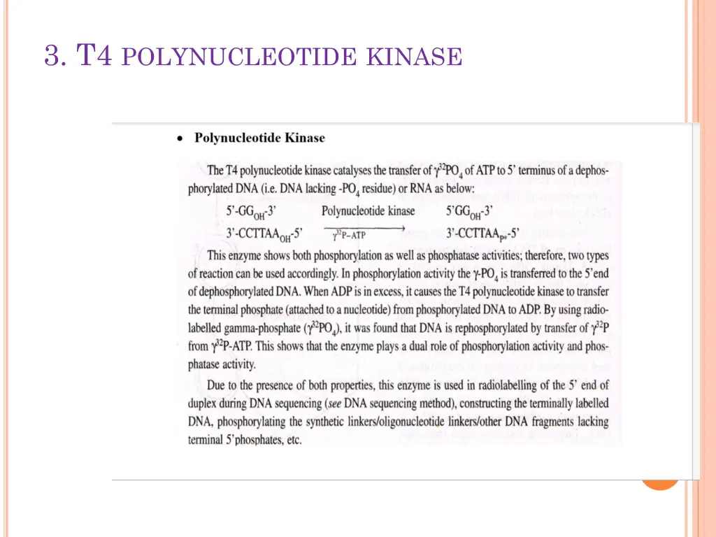 3 t4 polynucleotide kinase