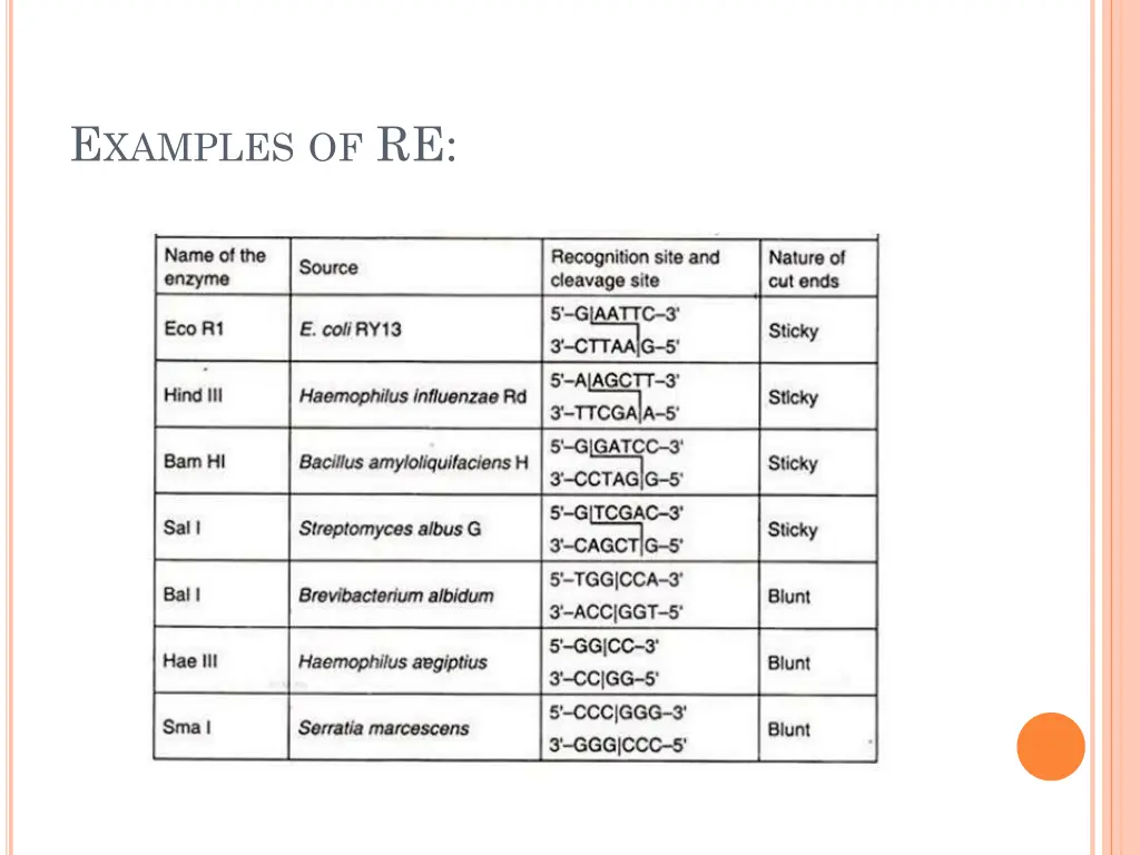 e xamples of re