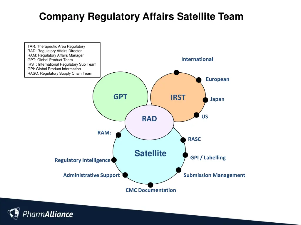 company regulatory affairs satellite team