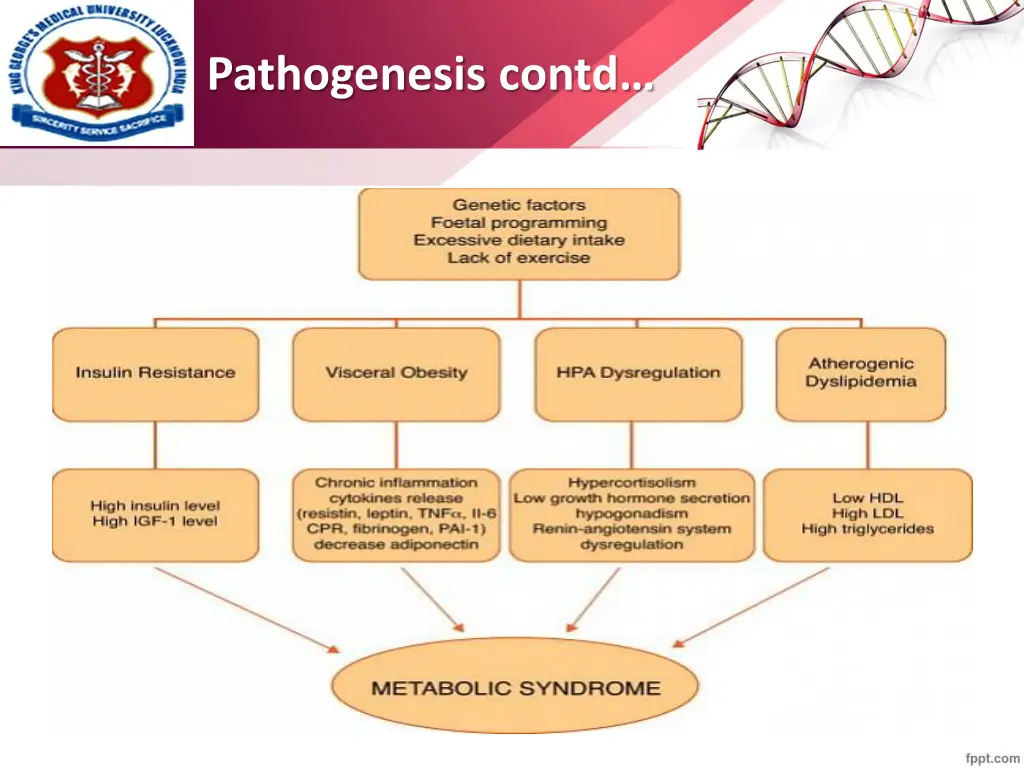 pathogenesis contd 1