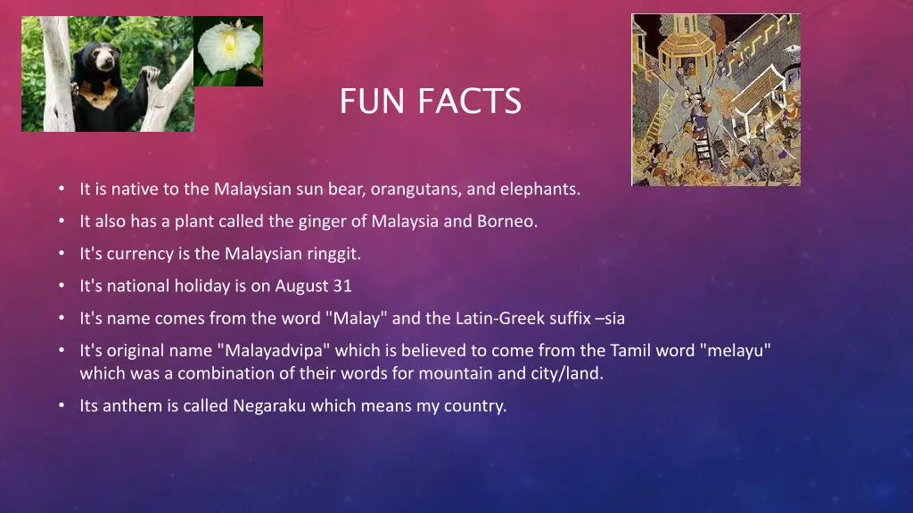 fun facts