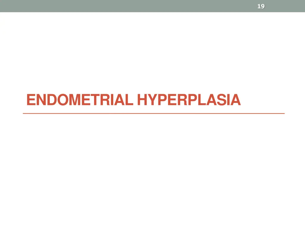 slide19