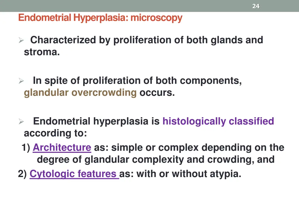 slide24