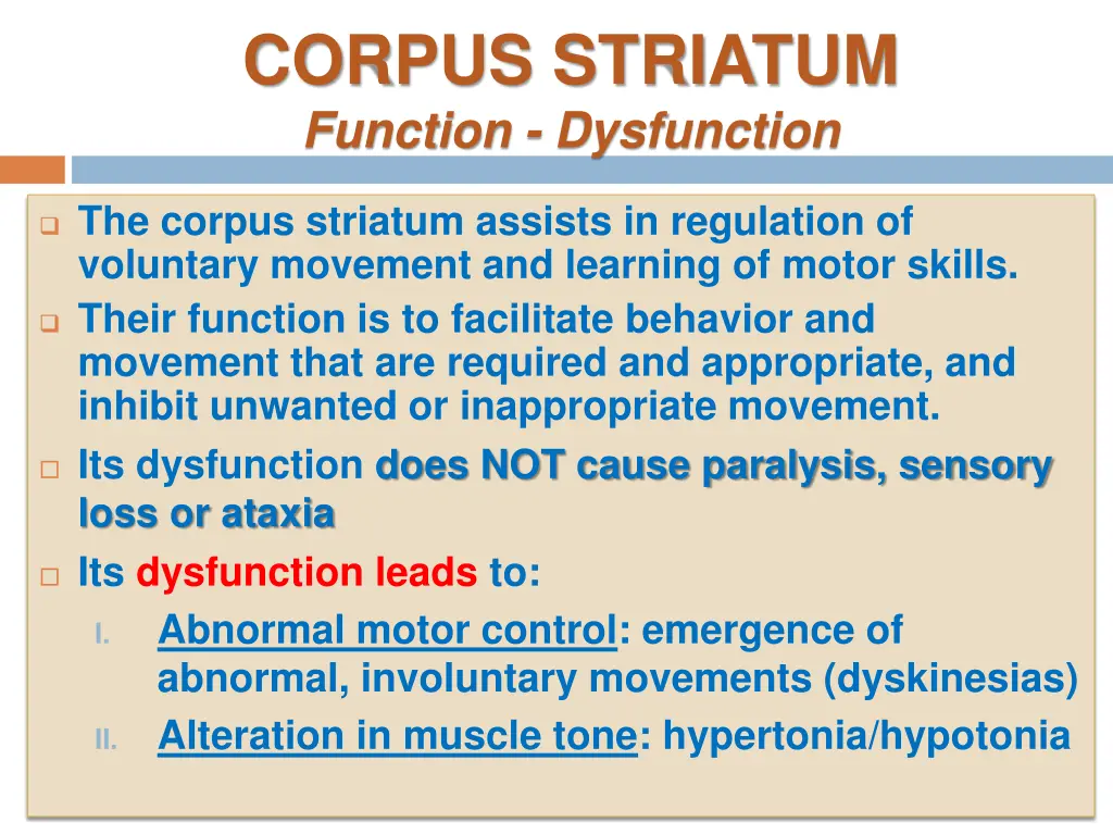 corpus striatum function dysfunction