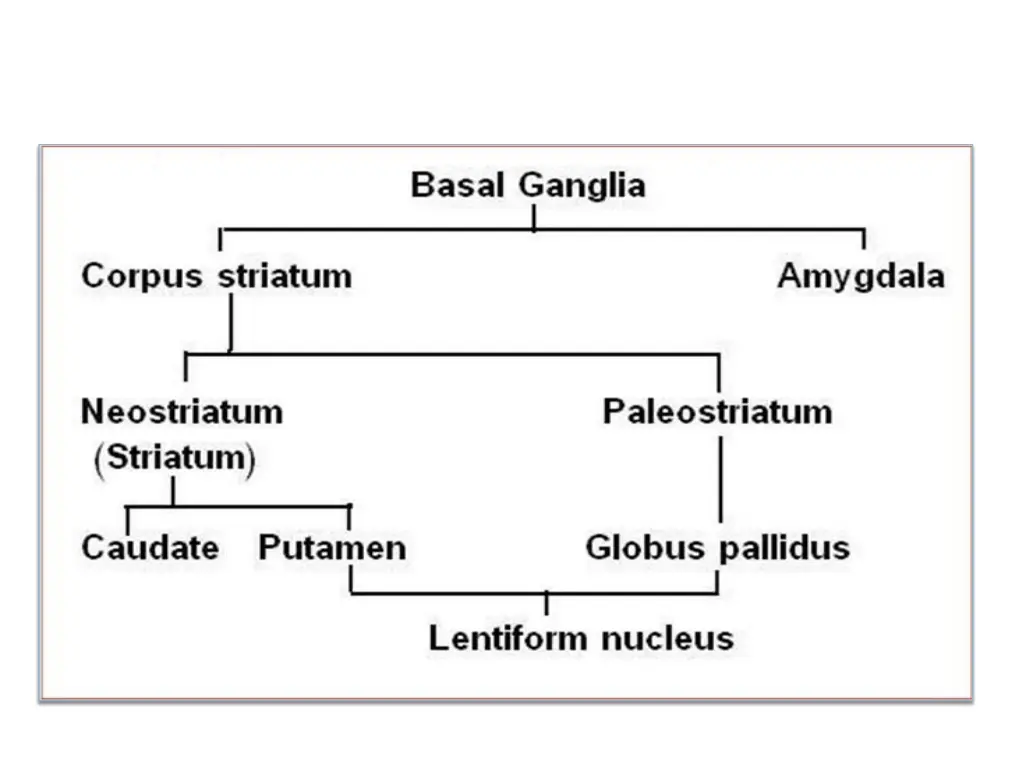 slide8