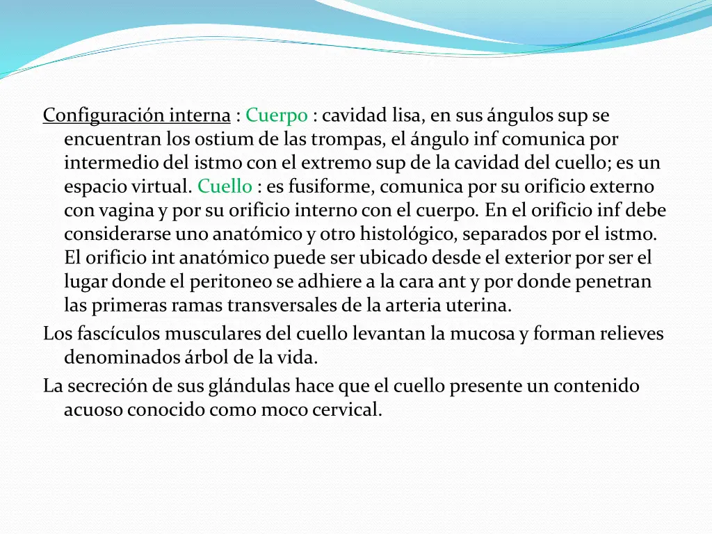 configuraci n interna cuerpo cavidad lisa