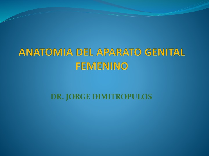 dr jorge dimitropulos