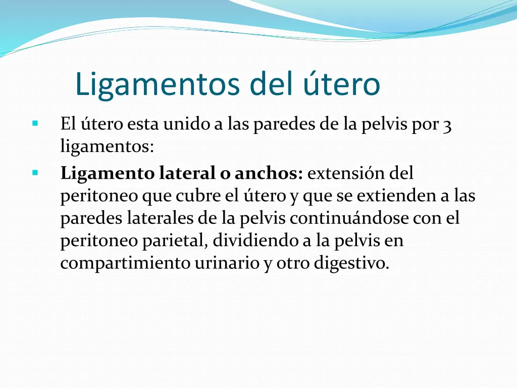 ligamentos del tero