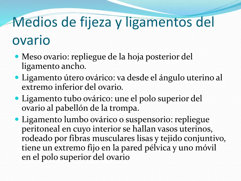 medios de fijeza y ligamentos del ovario meso