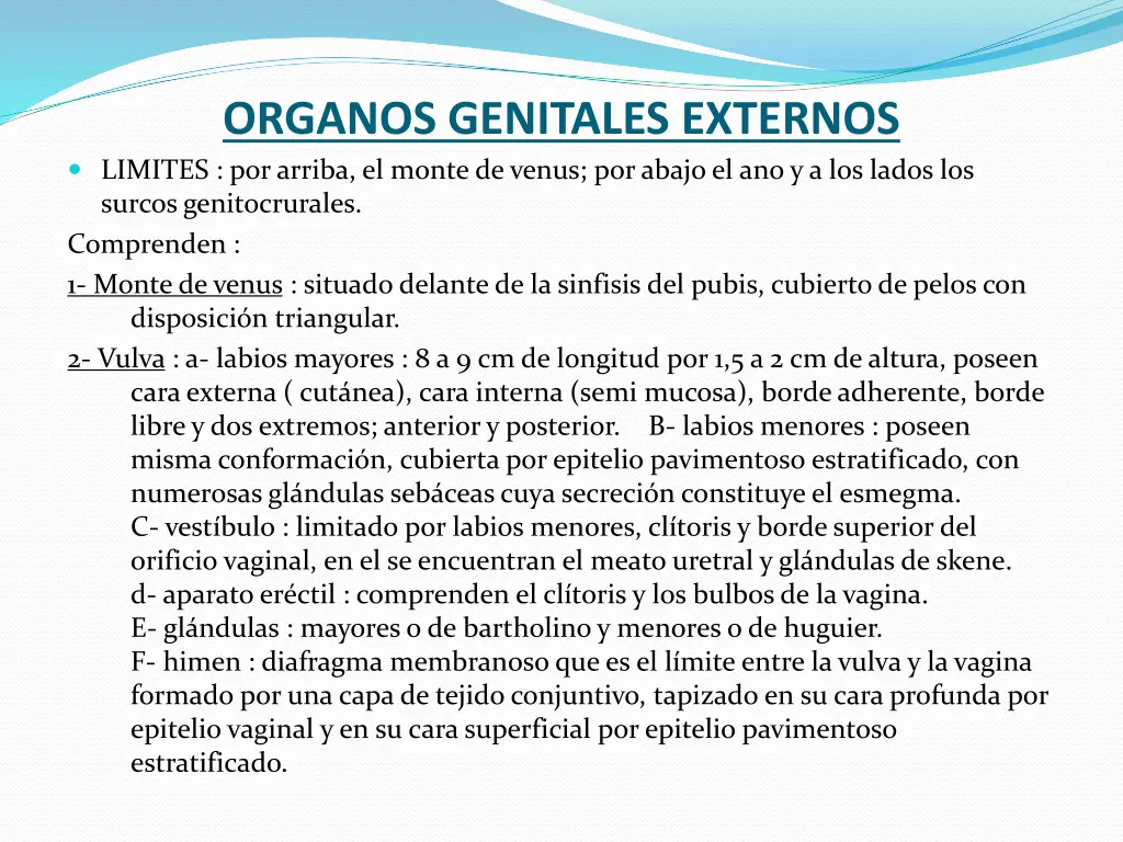 organos genitales externos limites por arriba