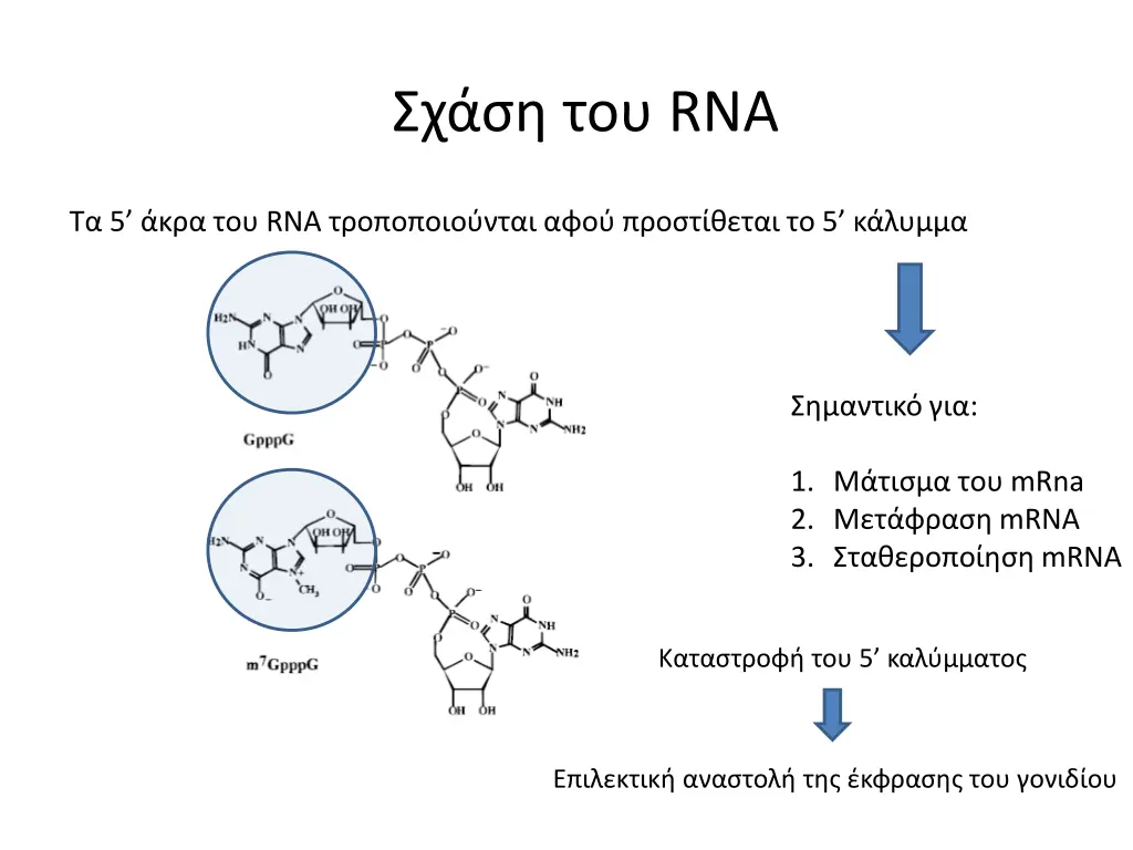 slide16