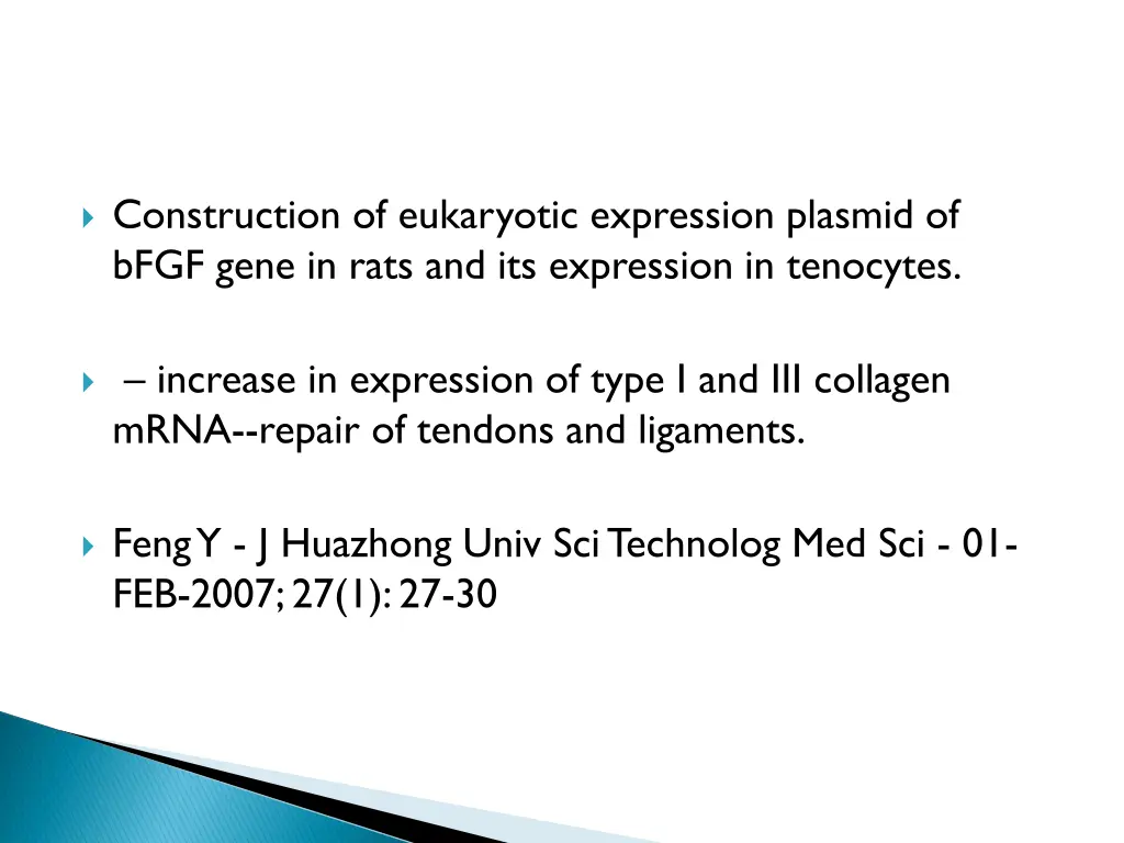 construction of eukaryotic expression plasmid