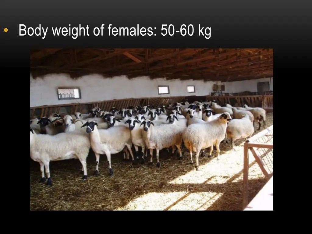 body weight of females 50 60 kg