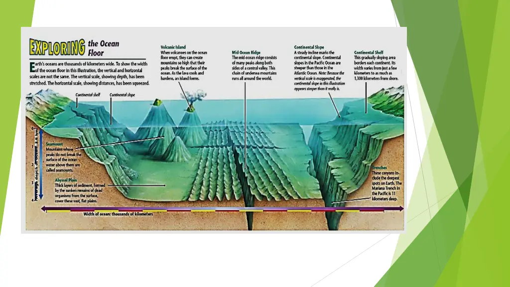 slide8