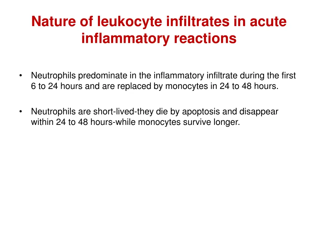 nature of leukocyte infiltrates in acute