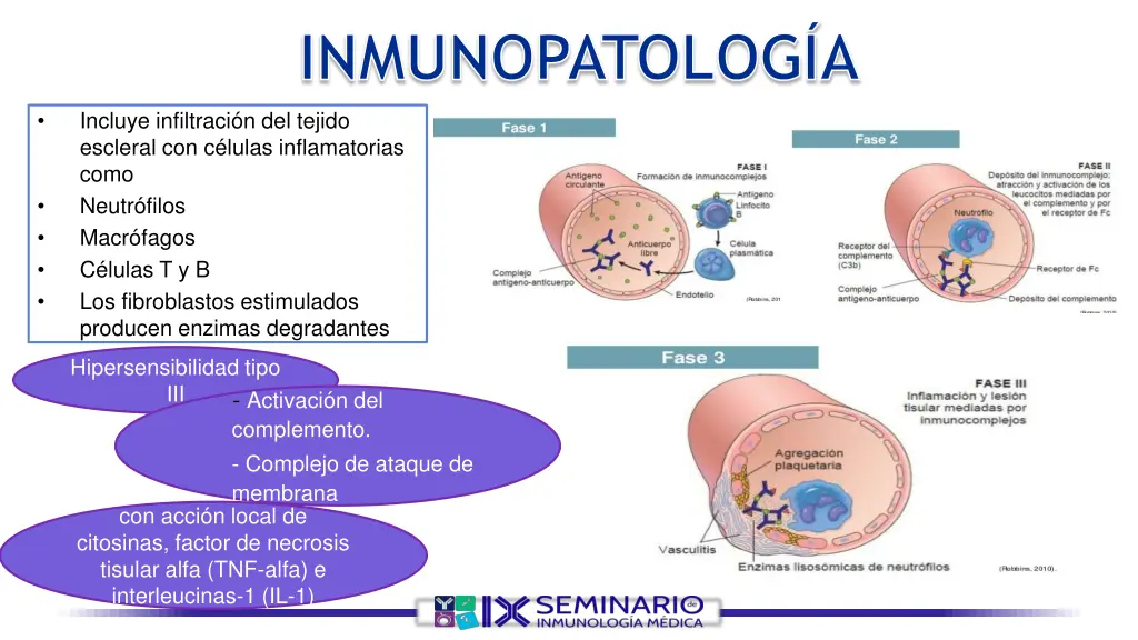 inmunopatolog a