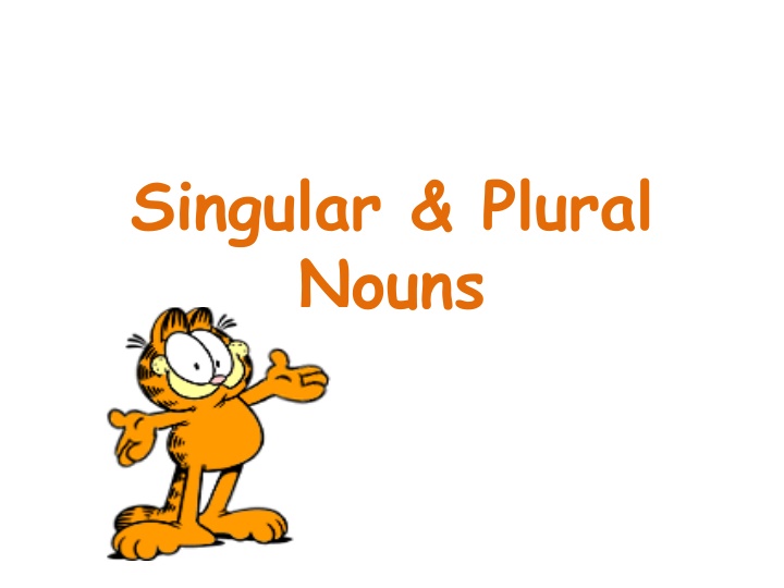 singular plural nouns