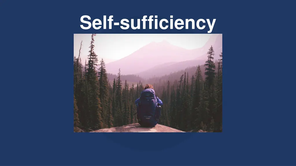 self sufficiency