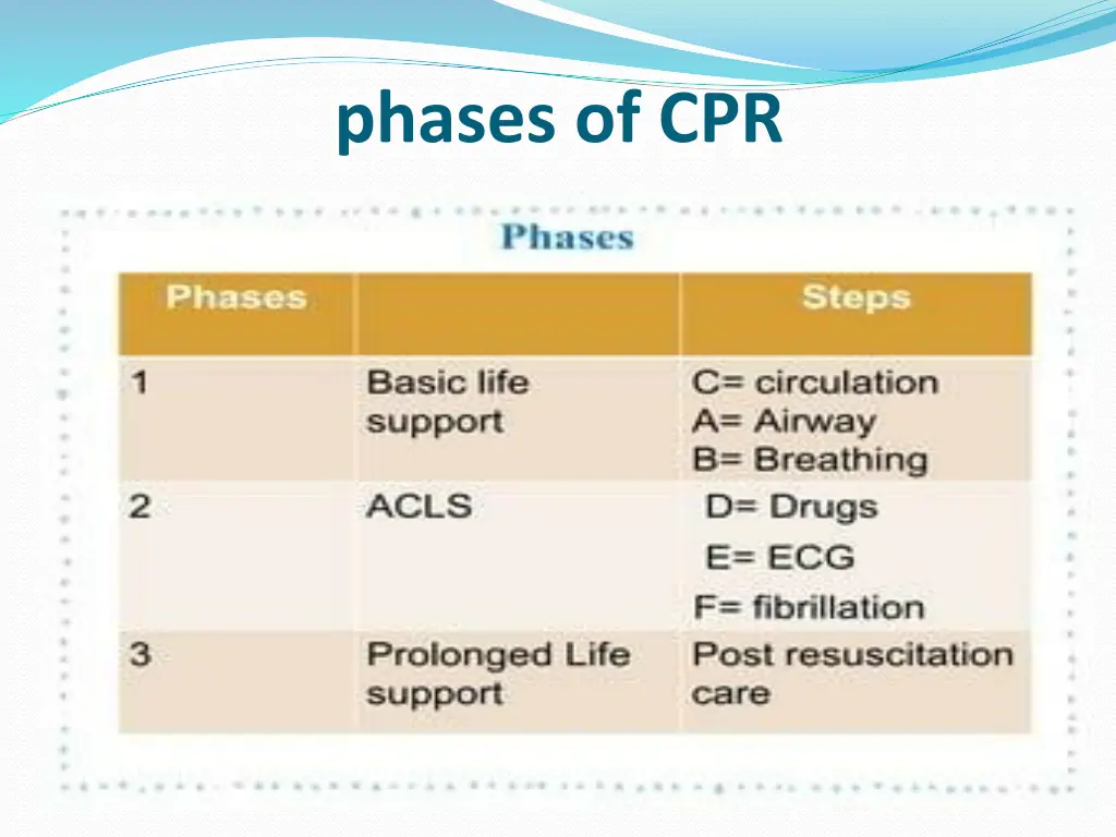 phases of cpr