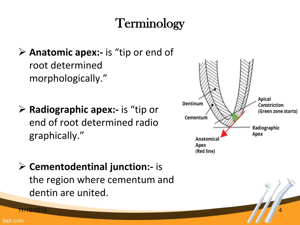 terminology terminology