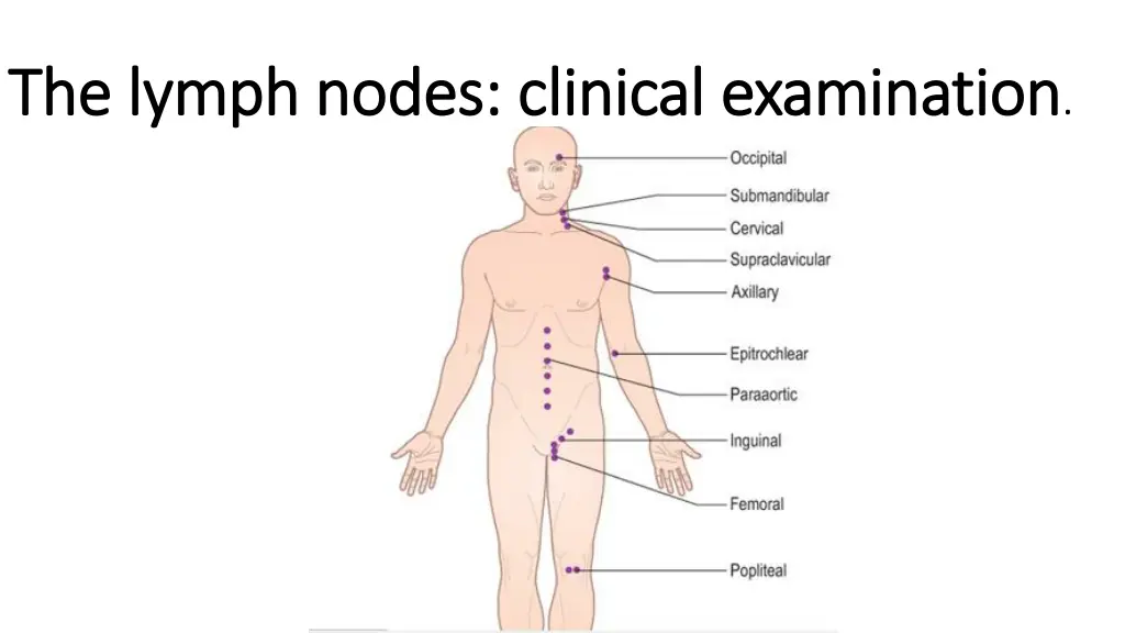 the lymph nodes clinical examination the lymph