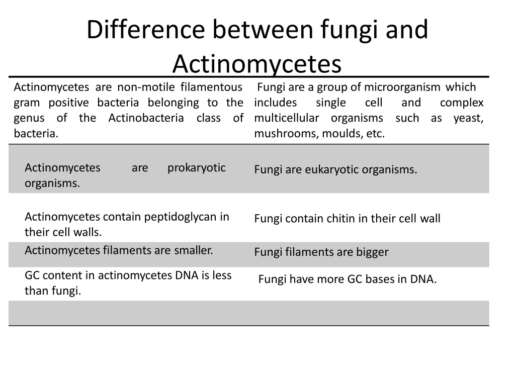 difference between fungi and actinomycetes