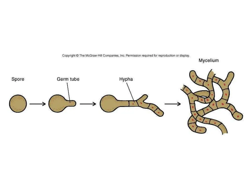 slide9