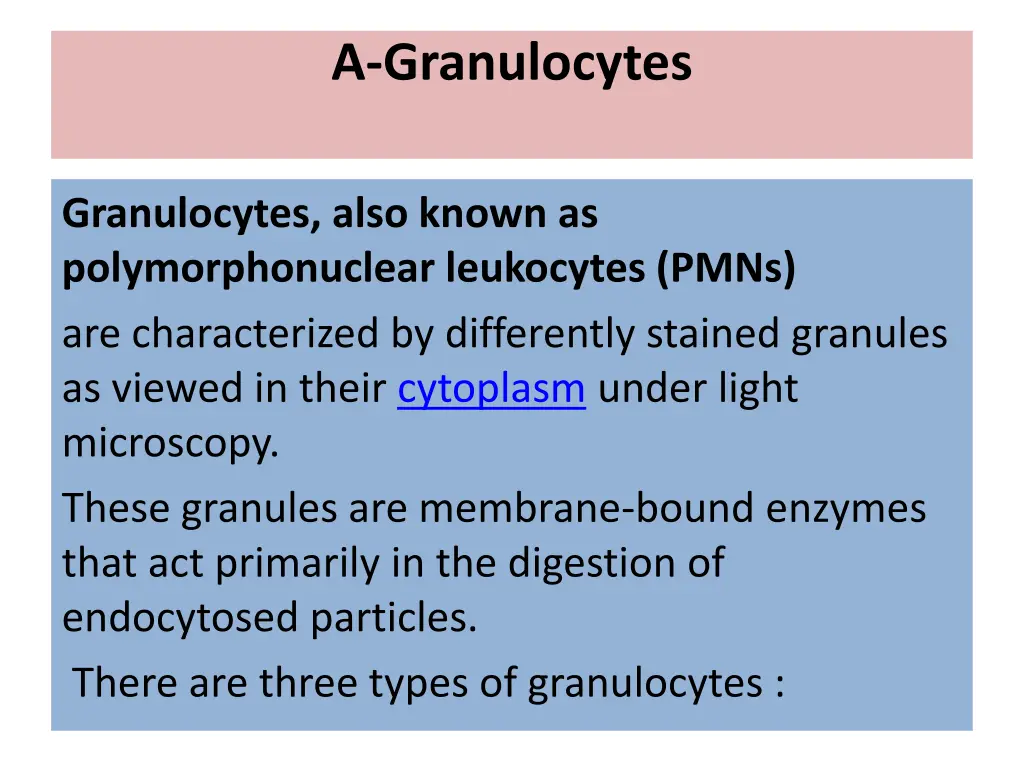 a granulocytes