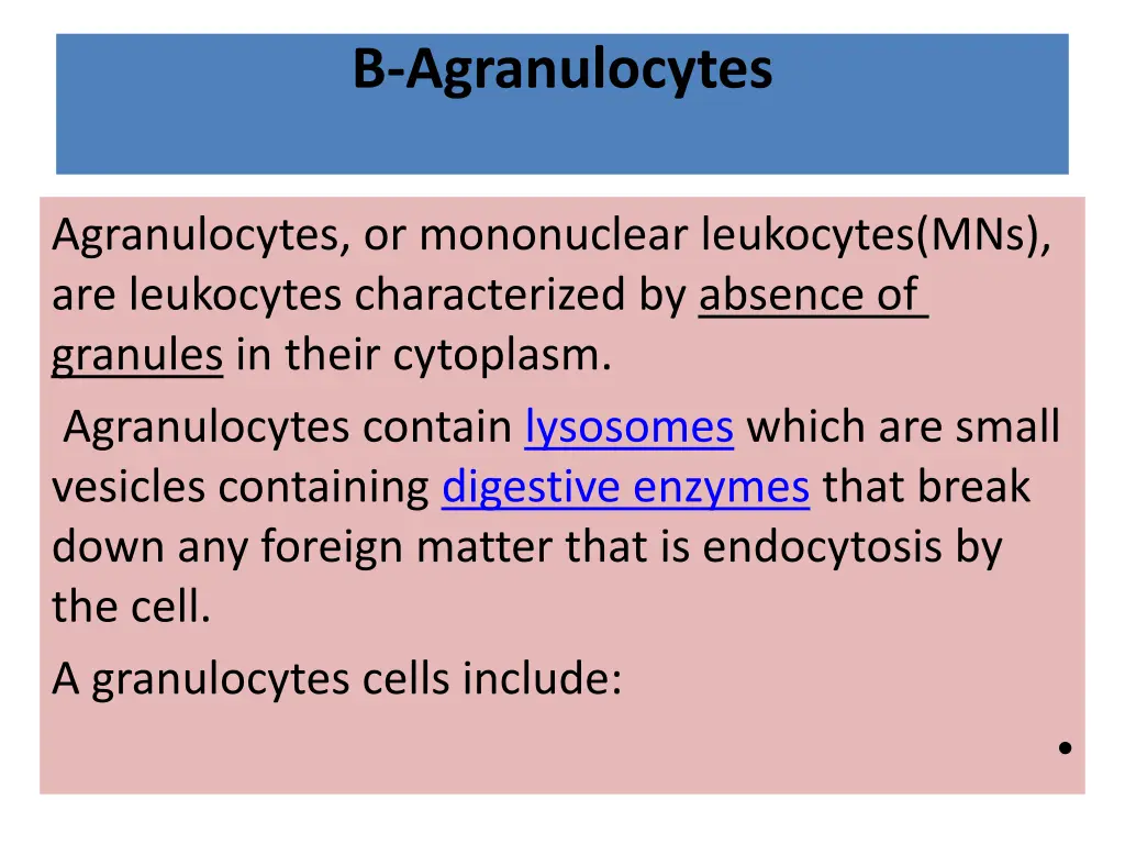 b agranulocytes