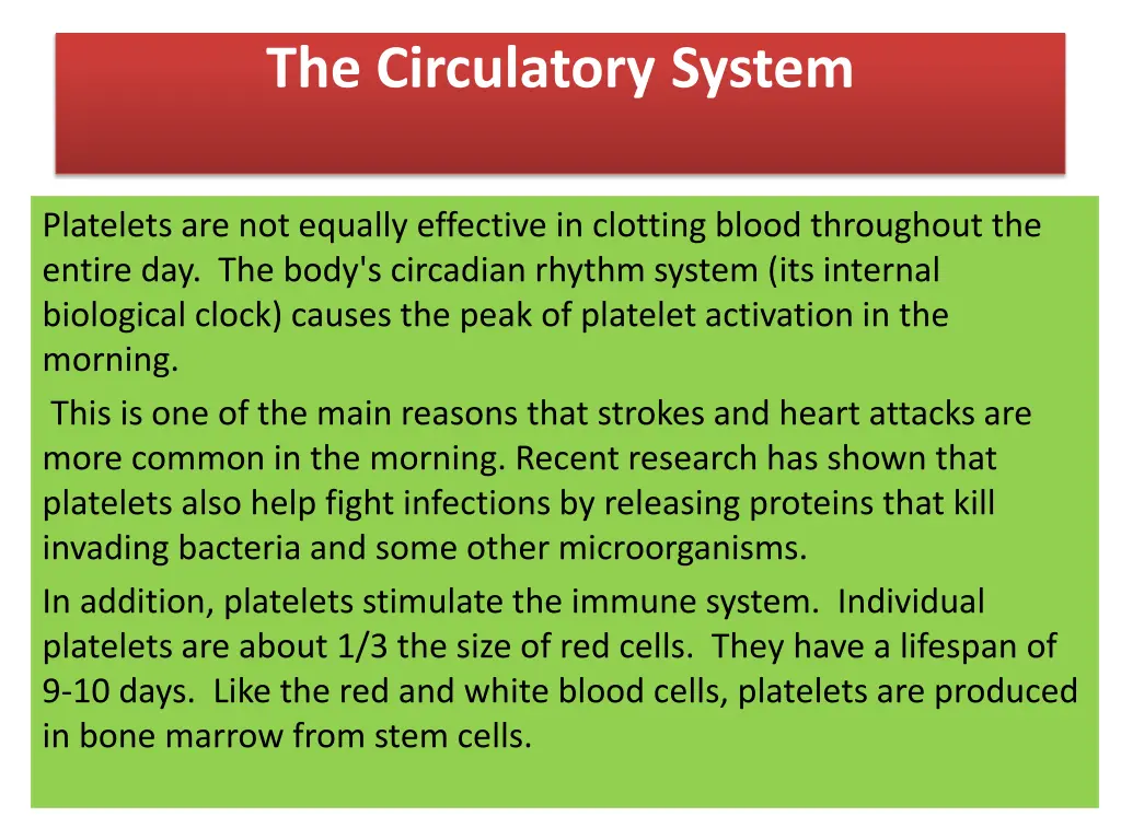 the circulatory system 4