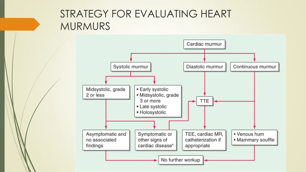 strategy for evaluating heart murmurs