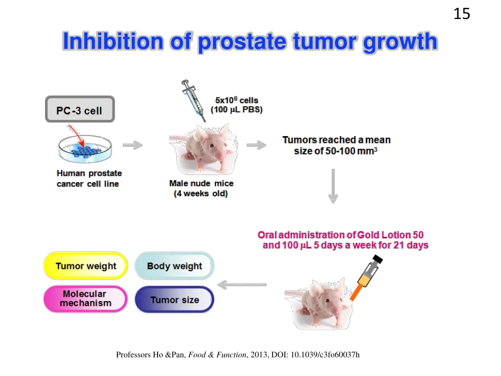 slide15