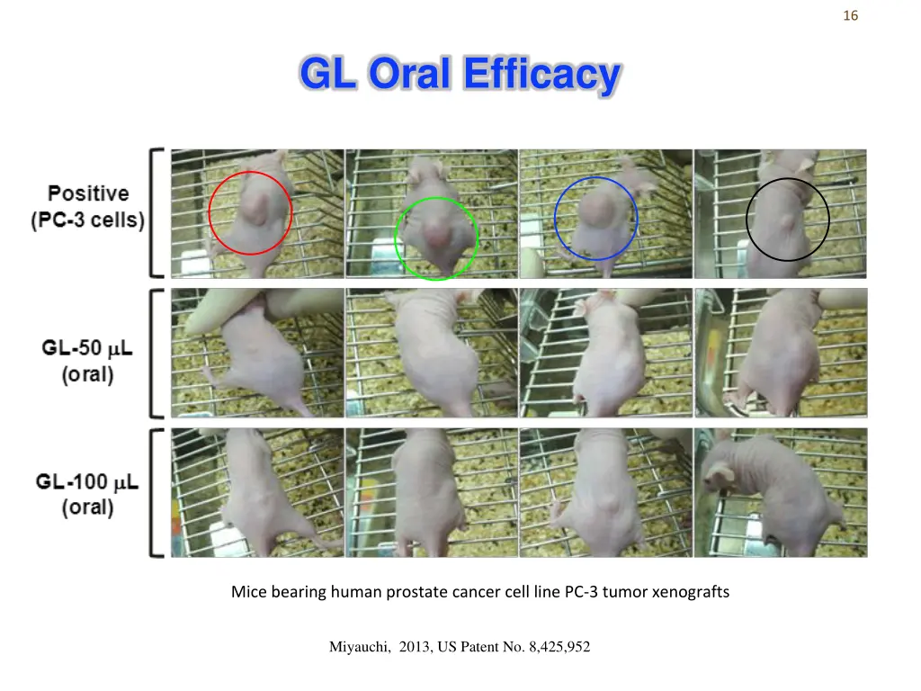 slide16