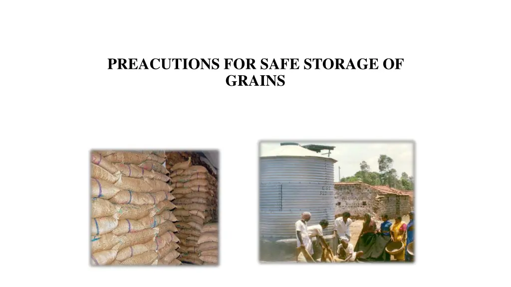 preacutions for safe storage of grains