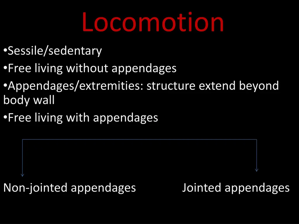 locomotion