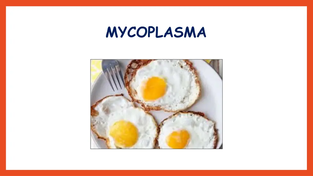 mycoplasma