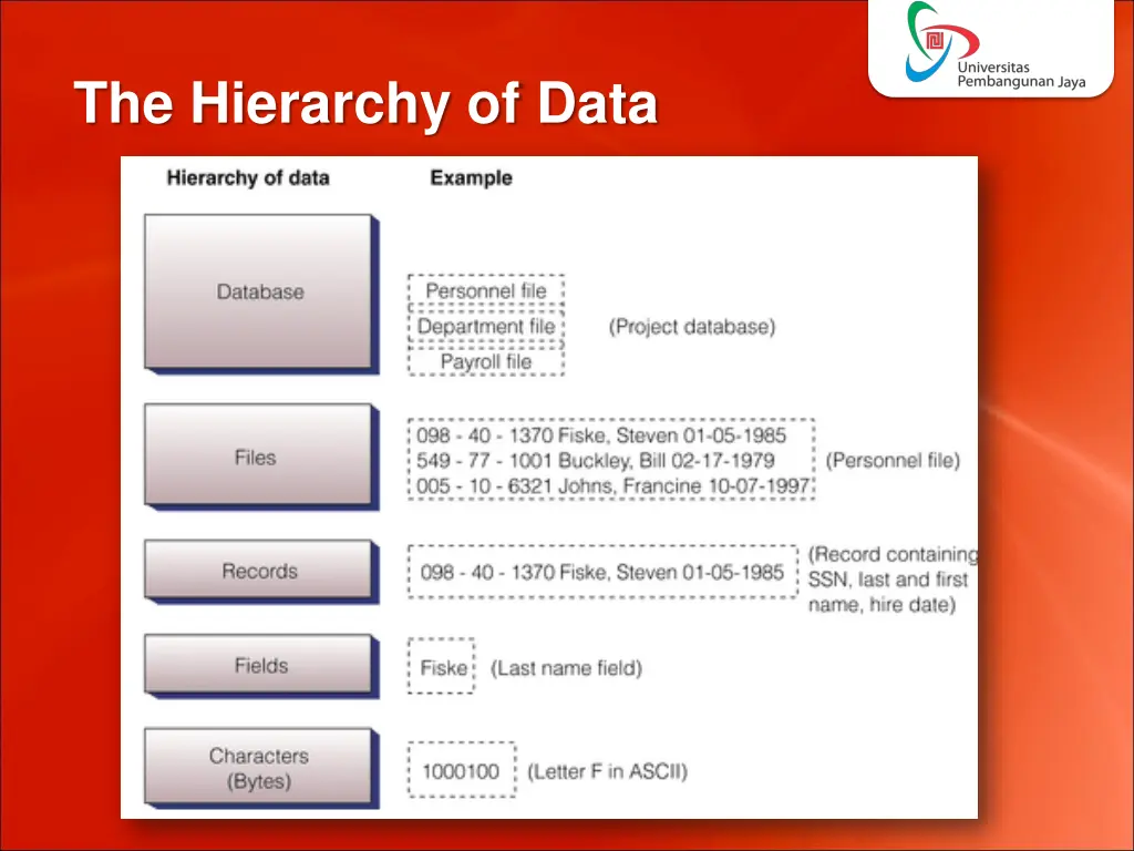 the hierarchy of data