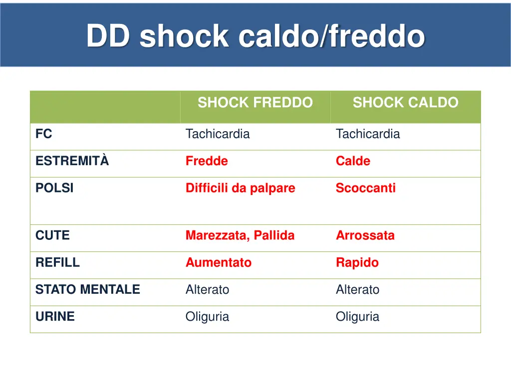 dd shock caldo freddo