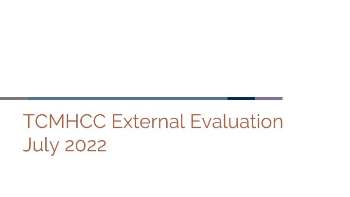 tcmhcc external evaluation july 2022