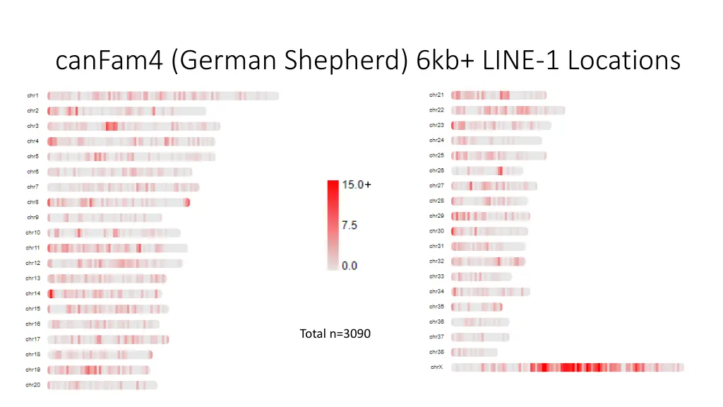 canfam4 german shepherd 6kb line 1 locations