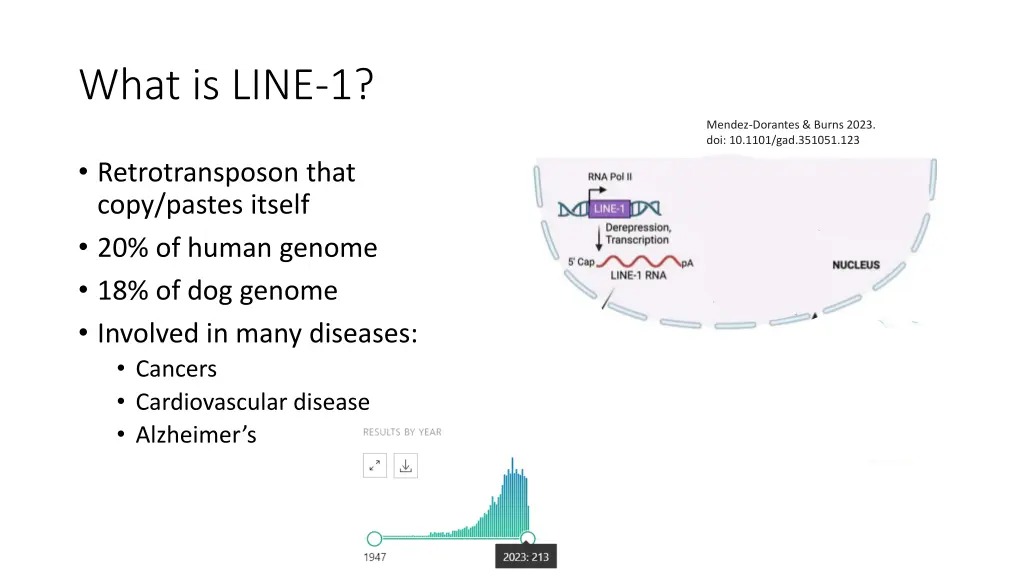 what is line 1