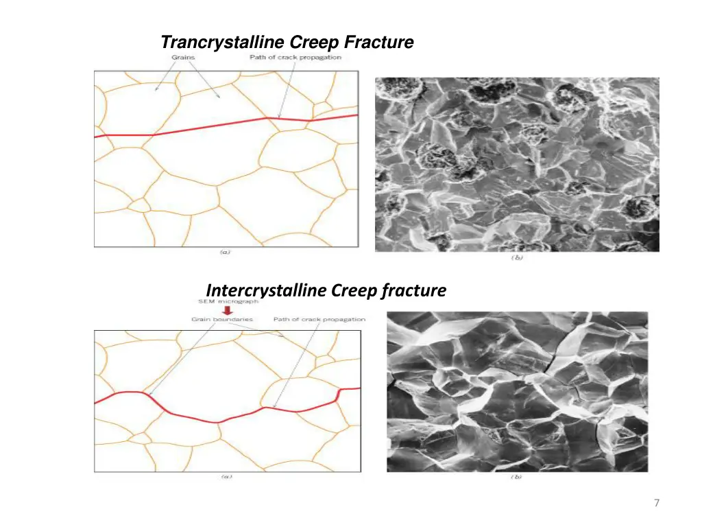 trancrystalline creep fracture