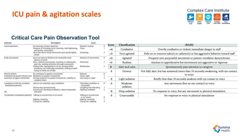 icu pain agitation scales