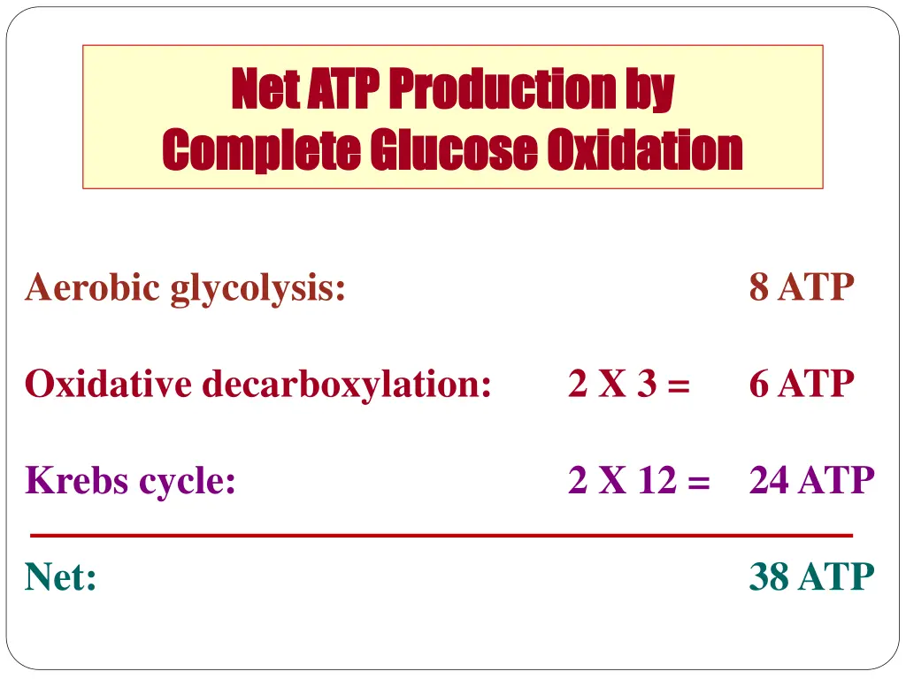 net atp production by net atp production