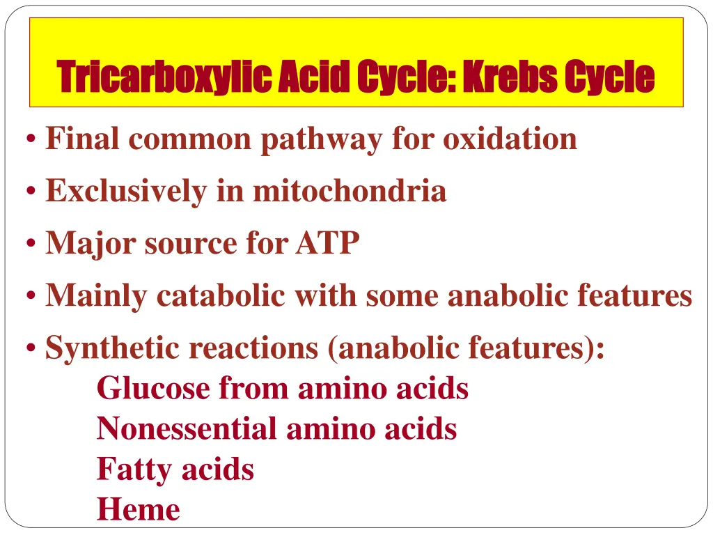 tricarboxylic acid cycle krebs cycle